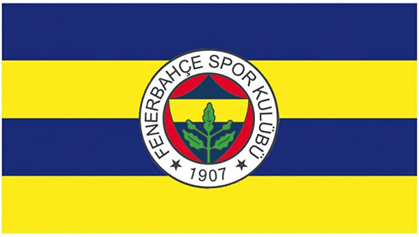 Fenerbahçe emëron trajnerin e ri