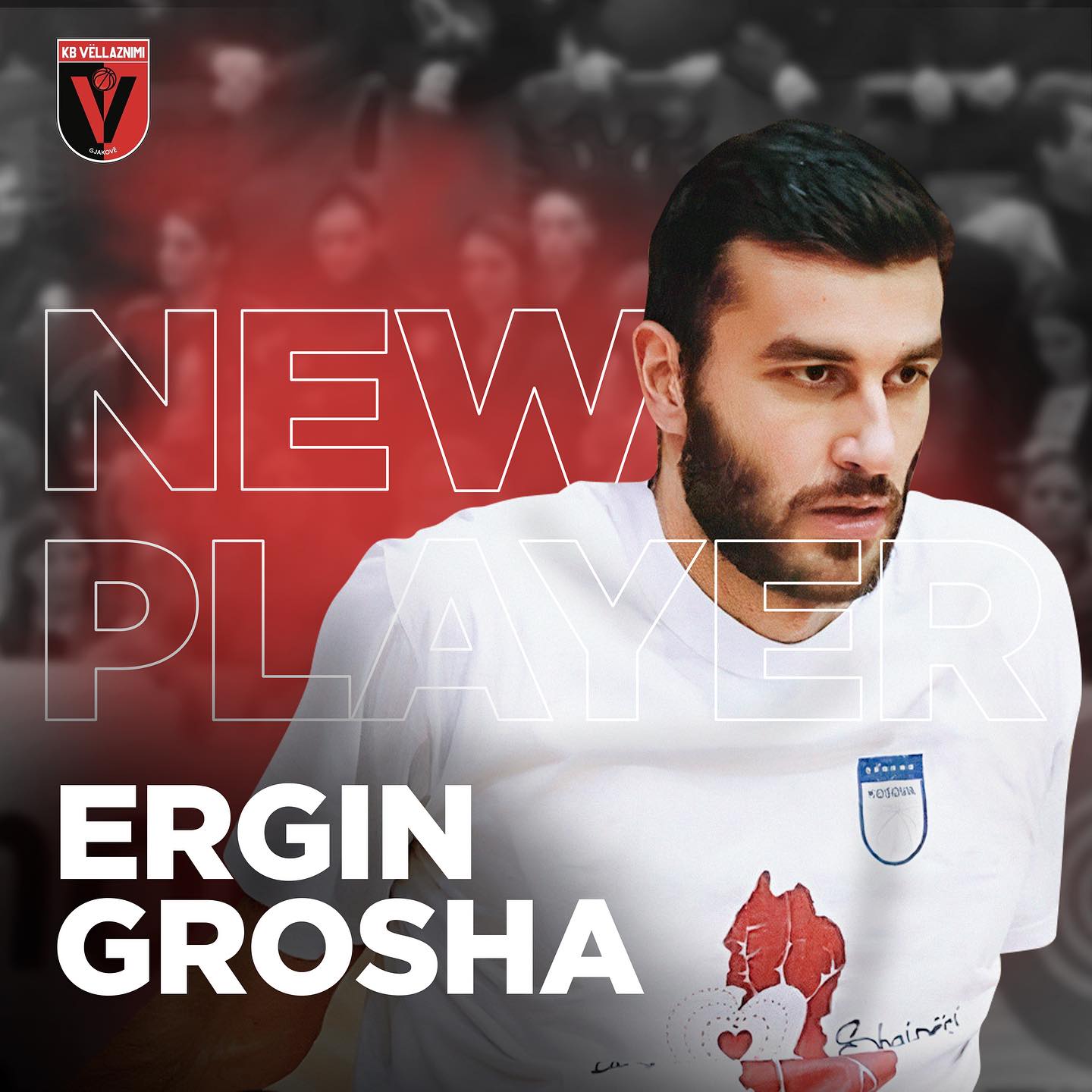 Ergin Grosha 
